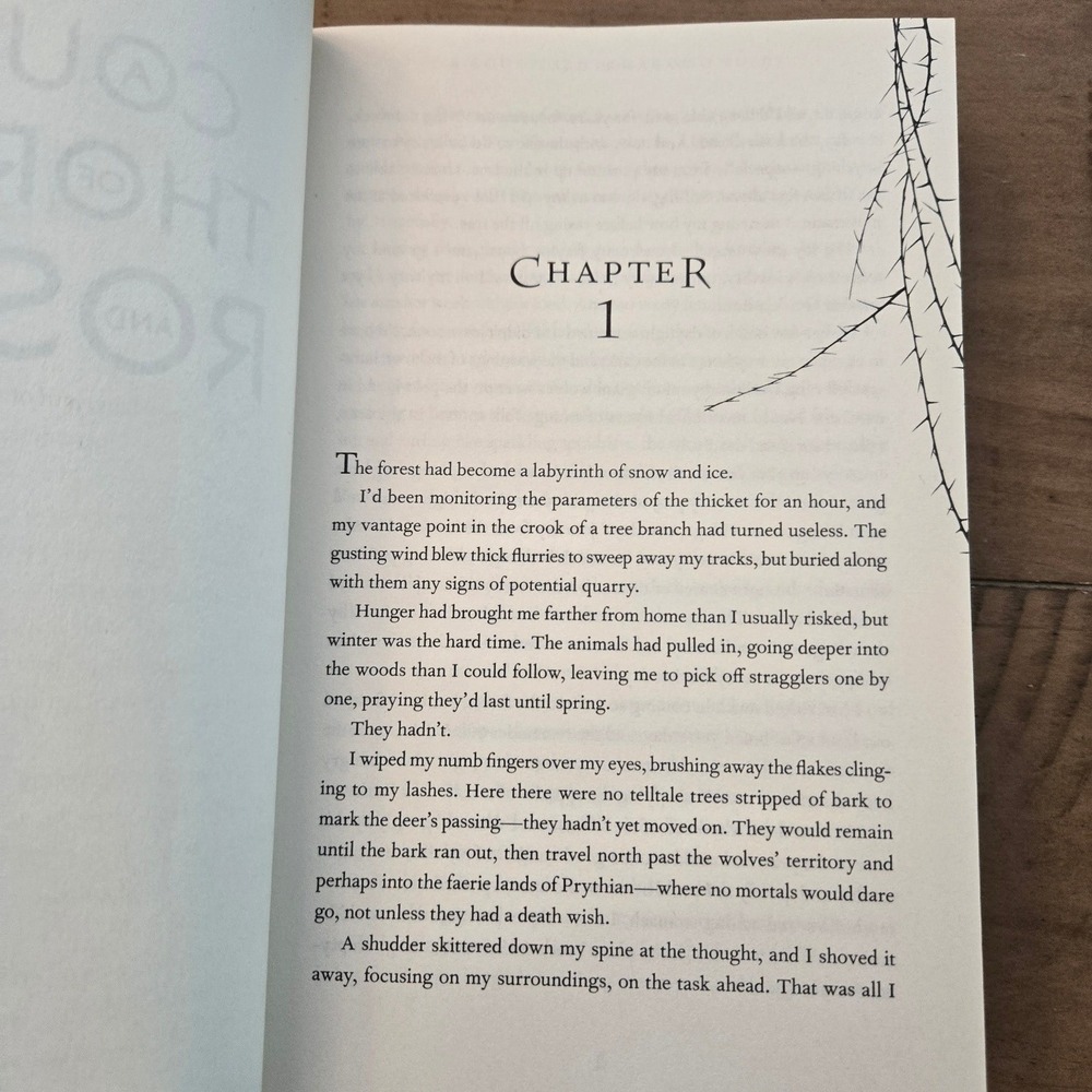 Sarah J. Maas A Court of Thorns and Roses ACOTAR Paperback Book - Picture 5 of 9